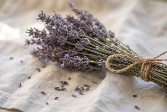 Bündel getrockneter Lavendel auf Leinen – Lavendel zum Schlafen